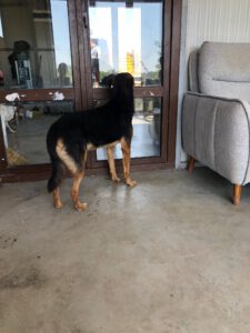 Nando_Feb21_23