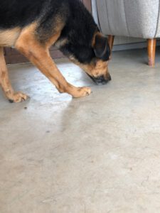 Nando_Feb21_29