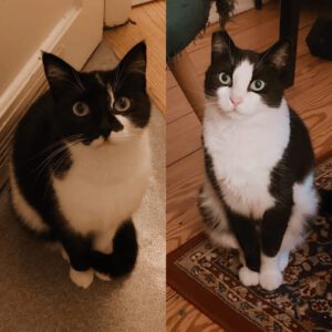 SORAYA& SOLEA_06.2023