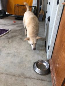 kevin_apr22_1