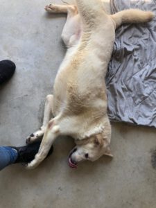 kevin_apr22_2