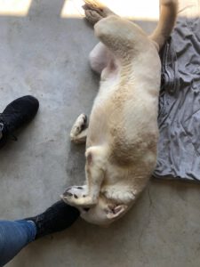 kevin_apr22_3