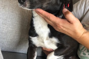 lucie_sep21_2