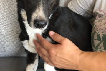 lucie_sep21_4