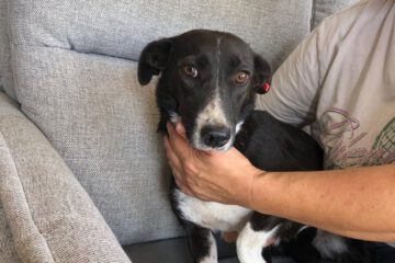 lucie_sep21_6