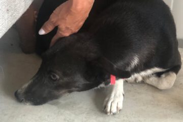 lucie_sep21_7