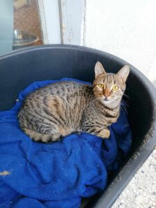 Loki_10.06.23