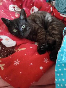 Morti_13.07.23