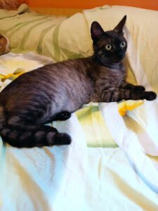 Morti_13.07.23
