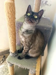 Morti_13.07.23