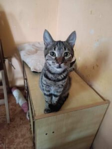 Loki_10.06.23