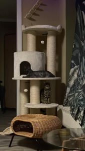 Morti_1Loki_23