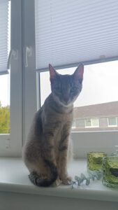 KEILIE_30.08.2023
