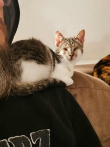 CUDDLES_05.2025