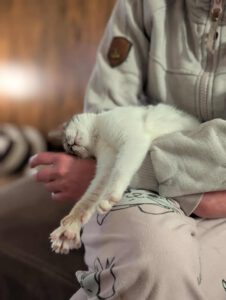 CUDDLES_05.2025