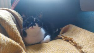 SORAYA& SOLEA_06.2023