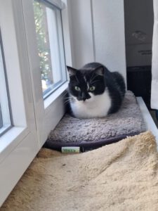 SORAYA& SOLEA_06.2023