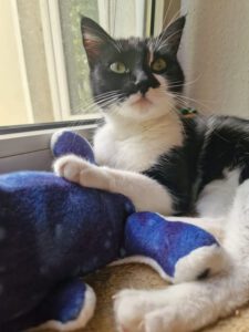 SORAYA& SOLEA_06.2023