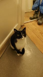 552627951_795496949552125_8669674452473257514_n