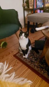 SORAYA& SOLEA_06.2023