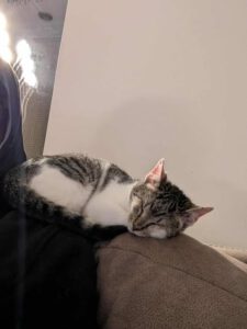 CUDDLES_05.2025