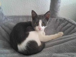 Pantau_01.04.2025