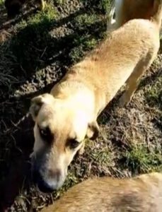 553601605_1607147197133822_844324583220989029_n