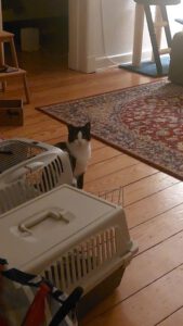 SORAYA& SOLEA_06.2023