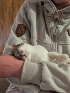 CUDDLES_05.2025