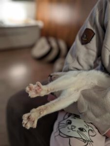 CUDDLES_05.2025