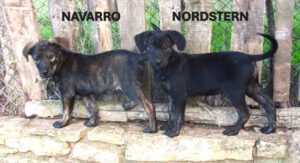 Navarro_Nordstern_aug25