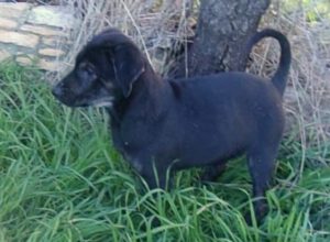 565696058_1083841683629153_706468594311712426_n