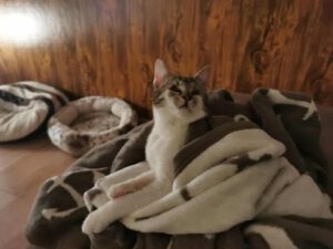 CUDDLES_05.2025