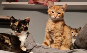 ROY & Riana_01.08.2025