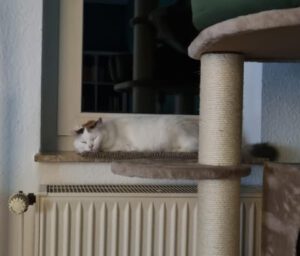 ANIKA_23.10.2023