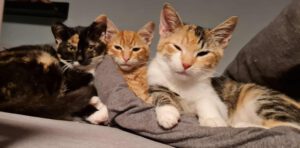 ROY & Riana_01.08.2025