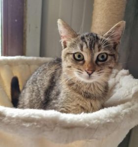 566522162_1489036945483738_2088550721833407547_n