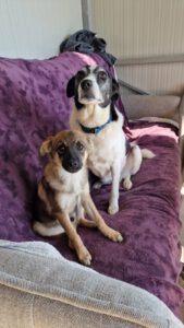 URON_Okt25_Leila_2017