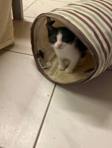 Becki_jun25