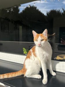 Rusty_märz24