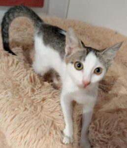 MIZI_01.08.2025