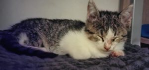 LENNY_01.09.2025