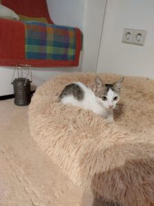 MIZI_01.08.2025