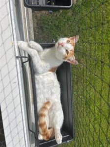 Rusty_märz24