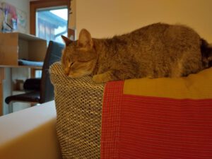 LYNN_2023
