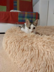 MIZI_01.08.2025