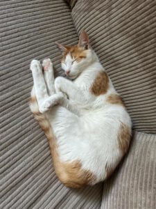 Rusty_märz24