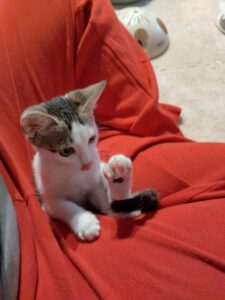 MIZI_01.08.2025