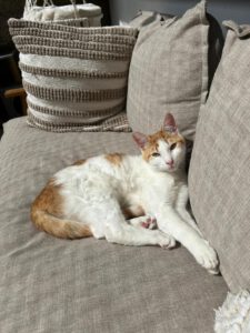 Rusty_märz24