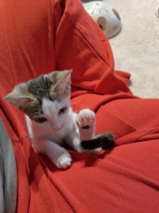 MIZI_01.08.2025